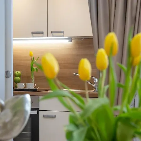 Im Herzen Vom Sylt アパート